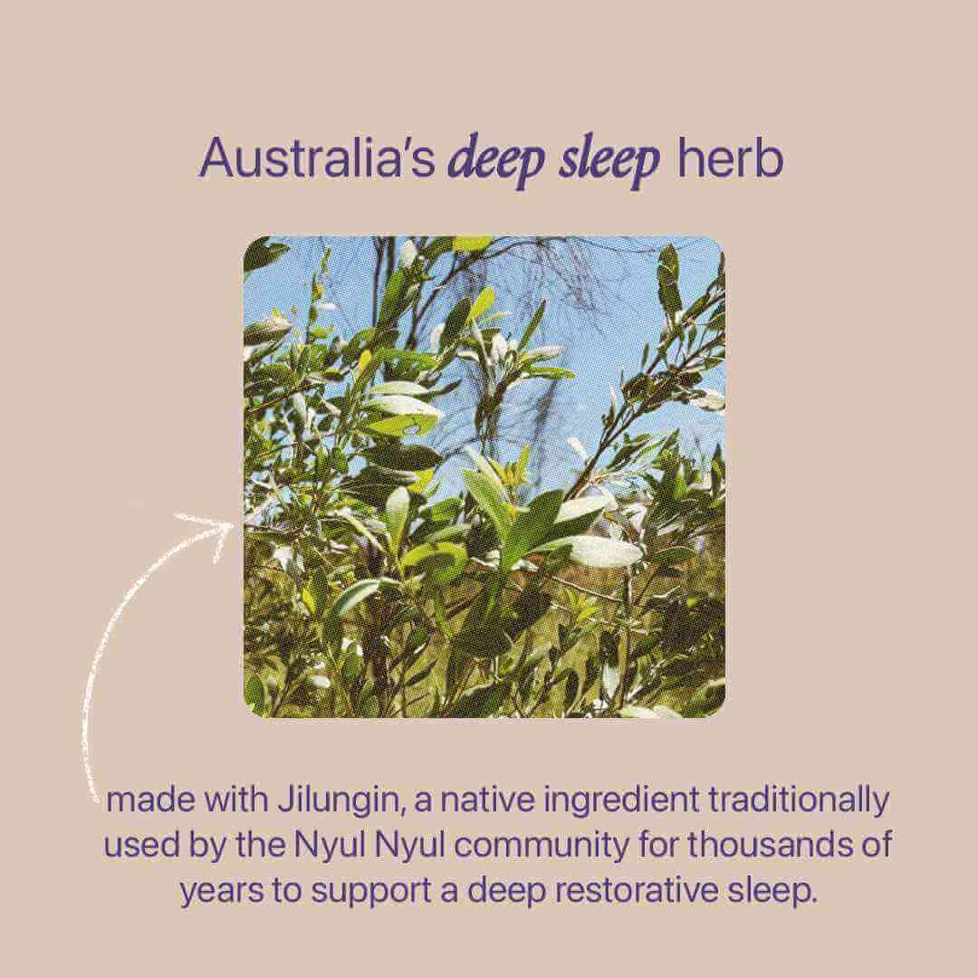 Roogenic Sleep Tea With Tin
