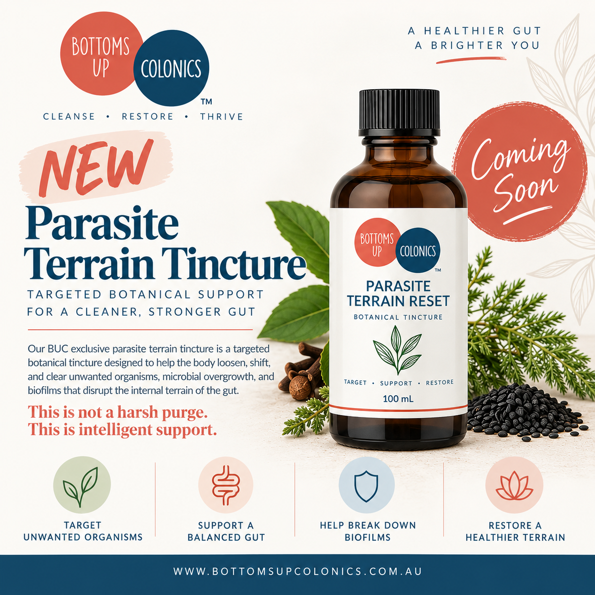Parasite Terrain Tincture - Intestinal Parasite Support Tinctue 100ml